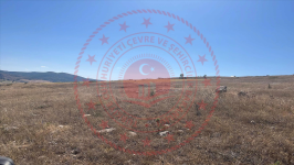 Çorum Alaca Büyükhırka Köyü Milli Emlak'tan Satılık 14.434,99 m2 Tarla