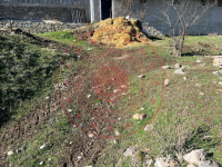 Afyonkarahisar Sinanpaşa Fatih Milli Emlak'tan Satılık 435,40 m2 Arsa