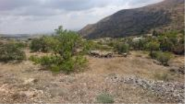 Konya Selçuklu Sulutas Mahallesi Milli Emlak'tan Satılık 1.081,59 m2 Tarla