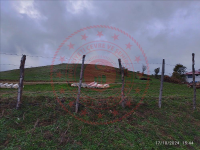 Samsun Havza Doğançayır Köyü Milli Emlak'tan Satılık 5.899,90 m2 Tarla