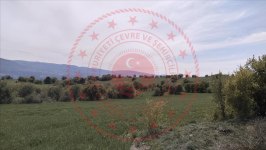 Çorum Merkez Üçköy Köyü Milli Emlak'tan Satılık 4.644,94 m2 Tarla