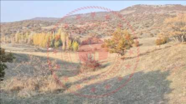 Çorum Merkez Büyükgülücek Köyü Milli Emlak'tan Satılık 6.988,37 m2 Tarla