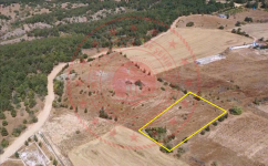 Kırklareli Merkez Demircihalil Köyü Milli Emlak'tan Satılık 2.986,60 m2 Tarla