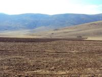 Afyonkarahisar Dinar Ergenli Köyü Milli Emlak'tan Satılık 5.400,00 m2 Tarla
