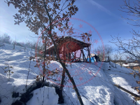 Sinop Saraydüzü Yukarı Akpınar Köyü Milli Emlak'tan Satılık 601,54 m2 Tarla