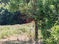 Sinop Merkez Uzungürgen Köyü Milli Emlak'tan Satılık 212,99 m2 Tarla