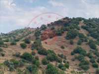 Aydın Germencik Çarıklar Köyü Milli Emlak'tan Satılık 26.252,69 m2 Tarla