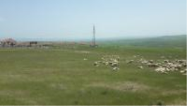 Ankara Gölbaşı Kızılcaşar Mahallesi Milli Emlak'tan Satılık 1.000,00 m2 Arsa