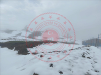 Sinop Durağan Alpugan Köyü Milli Emlak'tan Satılık 315,20 m2 Tarla