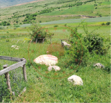 Erzincan Tercan Kemerçam Köyü Milli Emlak'tan Satılık 400,00 m2 Arsa
