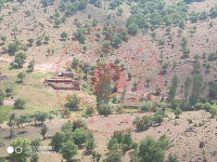 Konya Meram Yeşiltekke Köyü Milli Emlak'tan Satılık 6.893,30 m2 Arsa