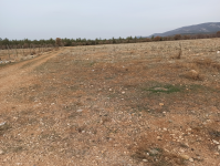 Uşak Sivaslı Pınarbaşı - Fatih Mahallesi Milli Emlak'tan Satılık 15.744,58 m2 Arsa