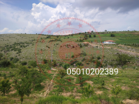 Amasya Merkez Ermiş Köyü Milli Emlak'tan Satılık 2.268,89 m2 Tarla