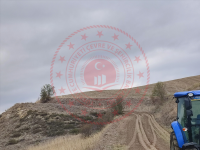 Amasya Merkez Gerne Köyü Milli Emlak'tan Satılık 2.000,74 m2 Tarla