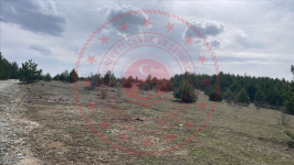 Kastamonu Taşköprü Yavuçkuyucağı Köyü Milli Emlak'tan Satılık 15.361,86 m2 Tarla