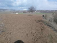 Sinop Saraydüzü Yenice Köyü Milli Emlak'tan Satılık 2.834,64 m2 Tarla