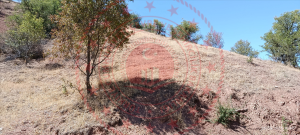 Gaziantep Şahinbey Uğurtepe Köyü Milli Emlak'tan Satılık 3.559,86 m2 Tarla