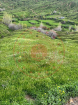 Bingöl Genç Yayla Köyü Milli Emlak'tan Satılık 445,54 m2 Tarla