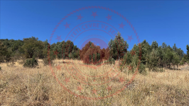 Burdur Merkez Kavacık Köyü Milli Emlak'tan Satılık 9.820,48 m2 Tarla