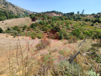Amasya Merkez Ormanözü Köyü Milli Emlak'tan Satılık 417,45 m2 Tarla