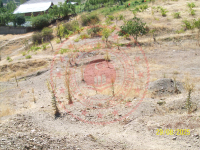 Konya Seydişehir Taraşçı Kasabası Milli Emlak'tan Satılık 489,49 m2 Arsa