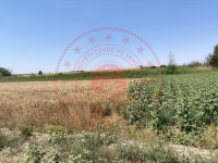 Edirne Uzunköprü Turnacı Köyü Milli Emlak'tan Satılık 859,99 m2 Tarla