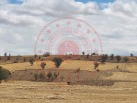 Konya Hüyük Görünmez Köyü Milli Emlak'tan Satılık 3.029,54 m2 Tarla