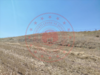 Çorum Alaca Kızkaraca Köyü Milli Emlak'tan Satılık 7.437,18 m2 Tarla