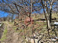 Karabük Eskipazar Kabaarmut Köyü Milli Emlak'tan Satılık 246,83 m2 Tarla
