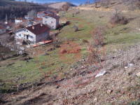 Kütahya Simav Ahlatlıçeşme Köyü Milli Emlak'tan Satılık 1.253,63 m2 Tarla