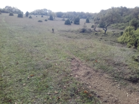 Kocaeli Gebze Denizli Köyü Milli Emlak'tan Satılık 1.744,66 m2 Tarla