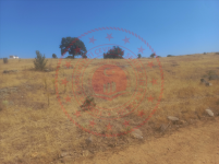 Kırıkkale Sulakyurt Faraşlı Köyü Milli Emlak'tan Satılık 1.817,91 m2 Tarla