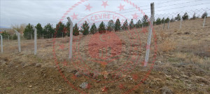 Ankara Bala Yaylalıözü Köyü Milli Emlak'tan Satılık 1.294,99 m2 Tarla