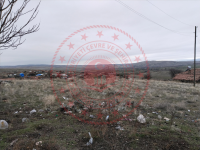 Çorum Merkez Hacıbey Köyü Milli Emlak'tan Satılık 1.860,62 m2 Tarla
