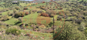 Balıkesir Karesi İbirler Köyü Milli Emlak'tan Satılık 6.812,71 m2 Tarla