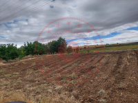 Konya Hüyük Yenice Köyü Milli Emlak'tan Satılık 1.593,23 m2 Tarla