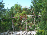 Konya Seydişehir Çatmakaya Köyü Milli Emlak'tan Satılık 506,20 m2 Tarla