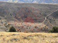 Bayburt Merkez Yaylapınar Köyü Milli Emlak'tan Satılık 10.591,66 m2 Tarla