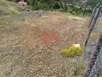 Osmaniye Merkez Yarpuz Köyü Milli Emlak'tan Satılık 9.151,39 m2 Tarla