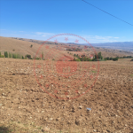 Kırıkkale Merkez Karacali Köyü Milli Emlak'tan Satılık 9.000,00 m2 Tarla