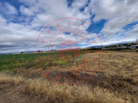 Konya Hüyük Yenice Köyü Milli Emlak'tan Satılık 2.275,31 m2 Tarla