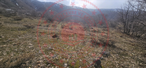 Tunceli Pülümür Elmalı Köyü Milli Emlak'tan Satılık 9.943,80 m2 Tarla