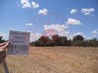 Kırklareli Merkez Yündalan Köyü Milli Emlak'tan Satılık 169,24 m2 Tarla