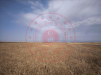 Ağrı Hamur Aş. Karabal Köyü Milli Emlak'tan Satılık 11.200,00 m2 Tarla