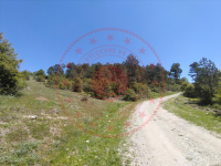 Bursa Keles Kirazlı(Domalı) Mahallesi Milli Emlak'tan Satılık 9.373,83 m2 Tarla