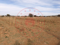 Afyonkarahisar Dinar Yelalan Köyü Milli Emlak'tan Satılık 2.200,00 m2 Tarla