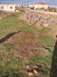 Şırnak Güçlükonak Gümüşyazı Köyü Milli Emlak'tan Satılık 782,59 m2 Arsa