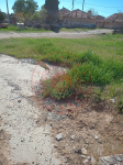 Uşak Merkez Yoncalı Köyü Milli Emlak'tan Satılık 349,00 m2 Tarla