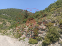 Antalya Alanya Güzelbağ - Zafer Mahallesi Milli Emlak'tan Satılık 702,27 m2 Tarla