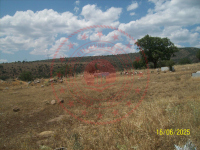 Konya Seydişehir Başkaraören Köyü Milli Emlak'tan Satılık 11.793,31 m2 Tarla